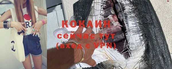 мяу мяу мука Белокуриха