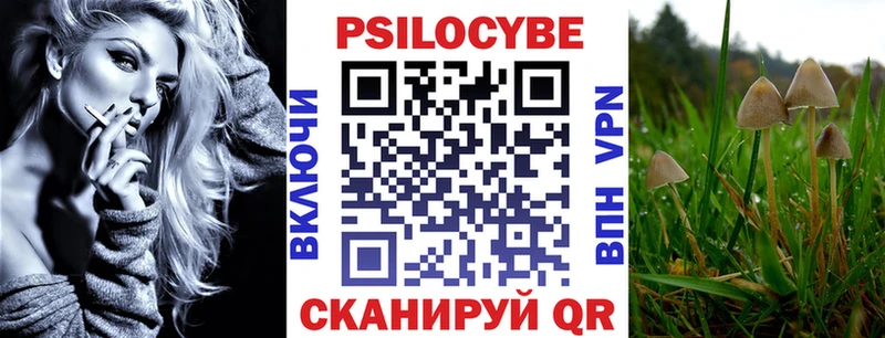 Псилоцибиновые грибы мицелий  Купить  Называевск 