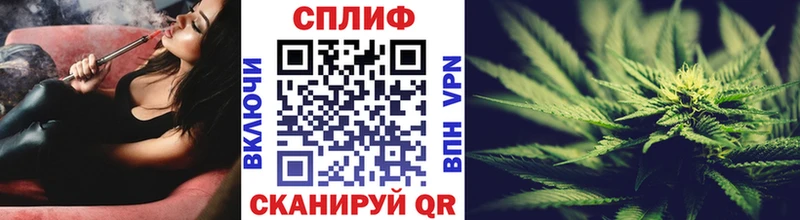 Конопля гибрид  Купить где  Называевск 